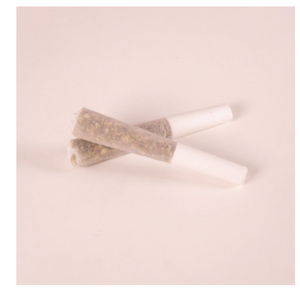 70mm Mini Pre-Rolled Cones - Dog Walkers - Refined White [1000 Cones per Box]