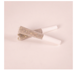 70mm Mini Pre-Rolled Cones - Dog Walkers - Unrefined Brown [1000 Cones per Box]